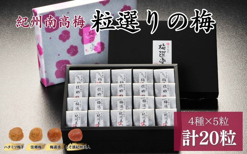 
紀州産南高梅 粒選りの梅 計20個 佳郷梅（塩分約10％）・ハチミツ梅干（塩分8%）・しそ漬紀州美人（塩分約12％）・梅選漬（塩分約8％） / 和歌山 田辺 紀州南高梅 南高梅 梅干し 梅干 梅 うす塩 減塩 肉厚 りんご酢 はちみつ入り お米 おにぎり ご飯のお供
