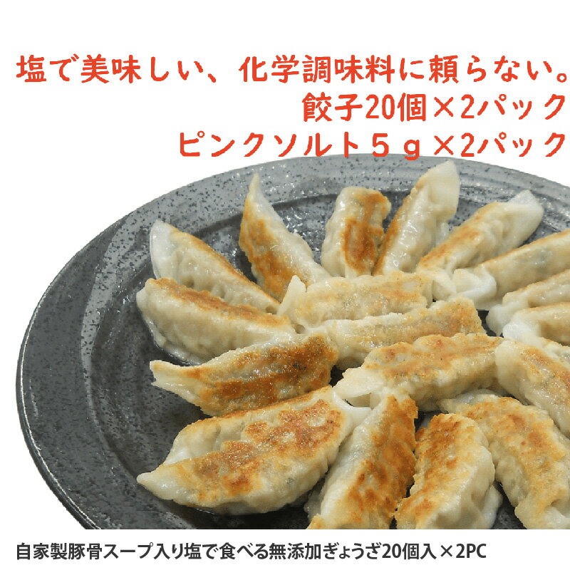 【ふるさと納税】自家製豚骨スープ入り　塩で食べる無添加ぎょうざ20個入×2PC