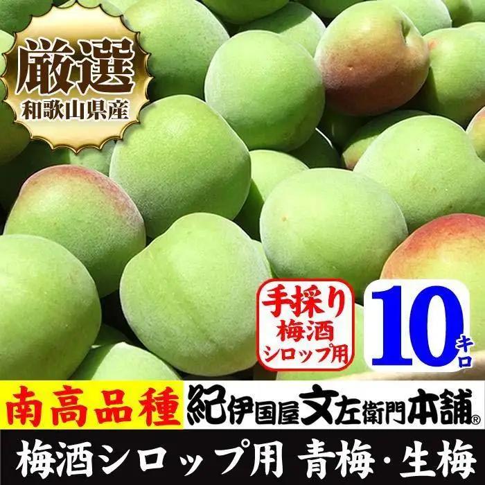 南高梅【緑】10kg 大サイズ 厳選南高梅 梅酒用 フレッシュ青梅 (生梅) ／紀伊国屋文左衛門本舗