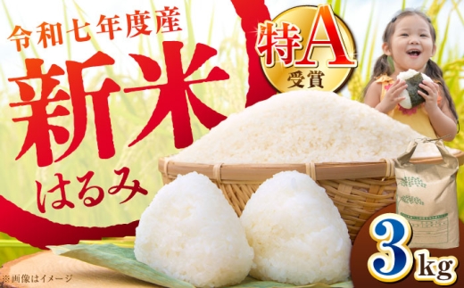 【令和7年産・限定数量】【特Aランク受賞実績あり！】はるみ 3kg【井上農園】 数量限定 新米 3kg 1袋 令和7年産はるみ コシヒカリ の遺伝子を引き継ぐ こしひかり キヌヒカリ 神奈川県産 精米 開成町 米 ご飯 白米 お米 特A 新米 こだわり 白米 こめ コメ お米 2025年産 おこめ 精米 R7 ご飯 ごはん R7 白飯 新米 ふるさと納税 [BDBB005]