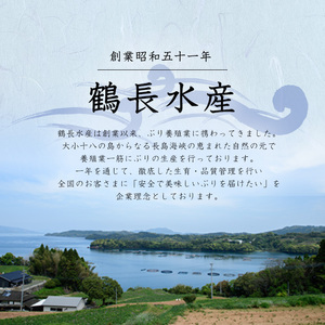 ボンタンぶりまるごと一本(内臓処理済)  ぶり 柵 刺身 ブリ 切り身 鰤 1本 鮮魚 下処理済み 鮮魚 1匹 刺身 ぶりしゃぶ ぶりかま 【鶴長水産】turu-7314R8