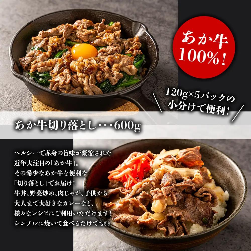 熊本特産大満喫！ 馬刺し＆あか牛切り落としセット（馬刺し400g&切り落とし600g） 赤牛  切り落とし 牛肉 冷凍  くまもと 和牛 国産 赤身 上赤身　新鮮馬肉　赤身馬刺し　国産赤身馬刺し　刺身