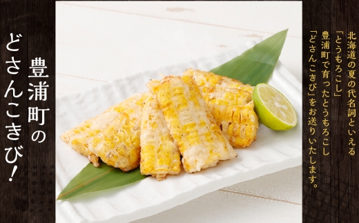 北海道産 とうもろこし 5本 どさんこきび 北海道産 とうもろこし 5本 どさんこきび 野菜 やさい とうきび トウモロコシ レトルト 食べ物 食品 甘い 人気 真空包装 加熱調理済 生食OK 生で食