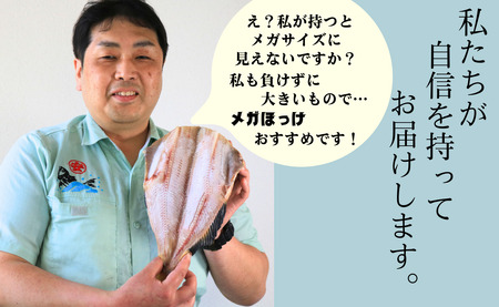 【丸安】メガほっけ開き 特大サイズ ３枚 ほっけ ホッケ 縞ほっけ 縞ホッケ 縞ほっけ干物 縞ホッケ干物 特大 メガサイズ 創業90余年 干物 干物専門店 高級干物 和食 酒の肴 グルメ つまみ おつ
