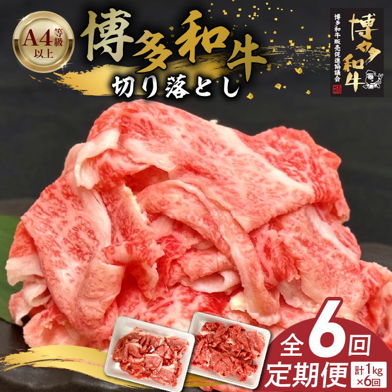 博多和牛切り落とし 500g×2パック　6回定期便 _Tk063