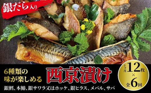 
                  定期便 6ヵ月 西京漬け 6種 各2枚 (計12枚) セット 銀鱈 本鰆 銀サワラ又はホッケ 銀ヒラス メバル サバ 詰め合わせ ミックス盛・Jr 西京焼き 漬け魚 漬魚 西京味噌 西京味噌漬け [№5412-0431]
                