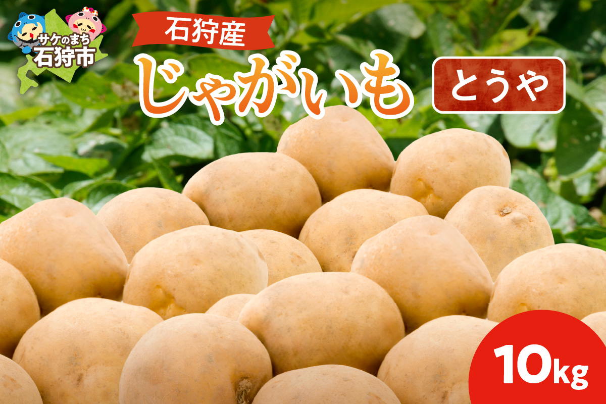 150029001 じゃがいも(とうや) 10kg