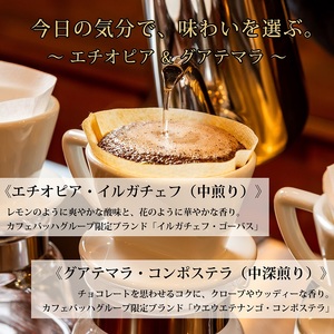 0012-59-03 【カフェバッハグループ限定】豆・エチオピア＆グアテマラ｜中煎り・中深煎り｜赤富士珈琲｜利き珈琲チャンピオン厳選
