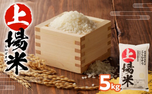 ＜令和7年度産＞佐賀県玄海町産こしひかり 上場米 5kg／ コシヒカリ こしひかり 米 お米 精米 白米 新米 ご飯 棚田 上場米 数量限定 佐賀県 玄海町 常温 送料無料