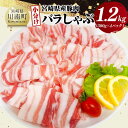 【ふるさと納税】【小分け】宮崎県産豚肉バラしゃぶ1.2kg - 豚肉 豚 肉 宮崎県産 しゃぶしゃぶ 小分け パック 送料無料 D11603