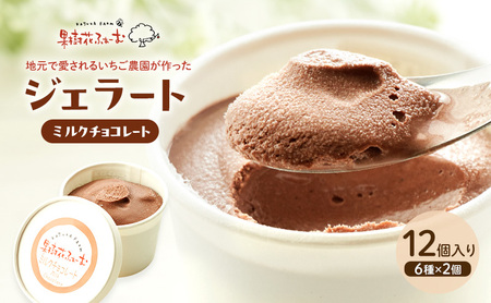 ジェラート チョコ アイス ジェラート【12個】