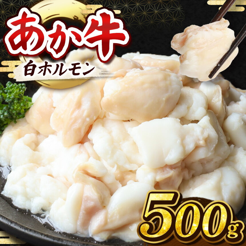 【ふるさと納税】あか牛 白 ホルモン 計500g ( 250g×2パック ) | 馬肉 馬 肉 赤身 馬刺し うま 刺身 小間切れ 大容量 冷凍 肉 にく ニク 熊本県 和水町