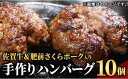 【ふるさと納税】佐賀牛＆さくらポーク入り手作りハンバーグ 900g (90g×10個)