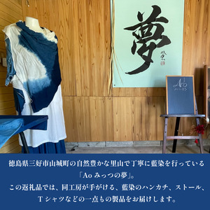 藍染 体験 ハンカチ 伝統 技術 工芸 徳島県 三好市 観光 Aoみっつの夢 【 藍染 】