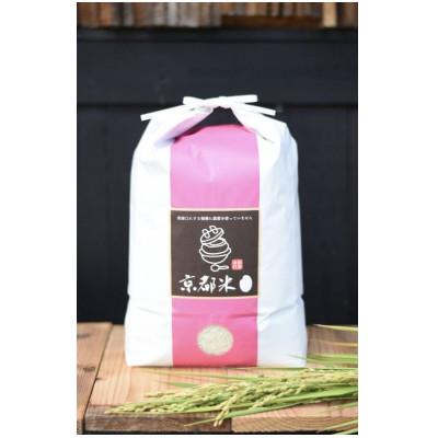 ふるさと納税 綾部市 【栽培期間中 稲穂に農薬不使用】京都府産米  コシヒカリ　5kg【精米】