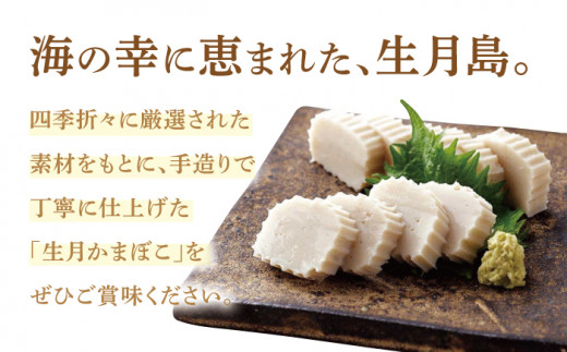 【6回定期便】生月 特選 蒲鉾 7種【舘浦漁業協同組合】[KAA277]/ 長崎 平戸 加工品 蒲鉾 かまぼこ すり身 あご あじ たい いわし 定期便
