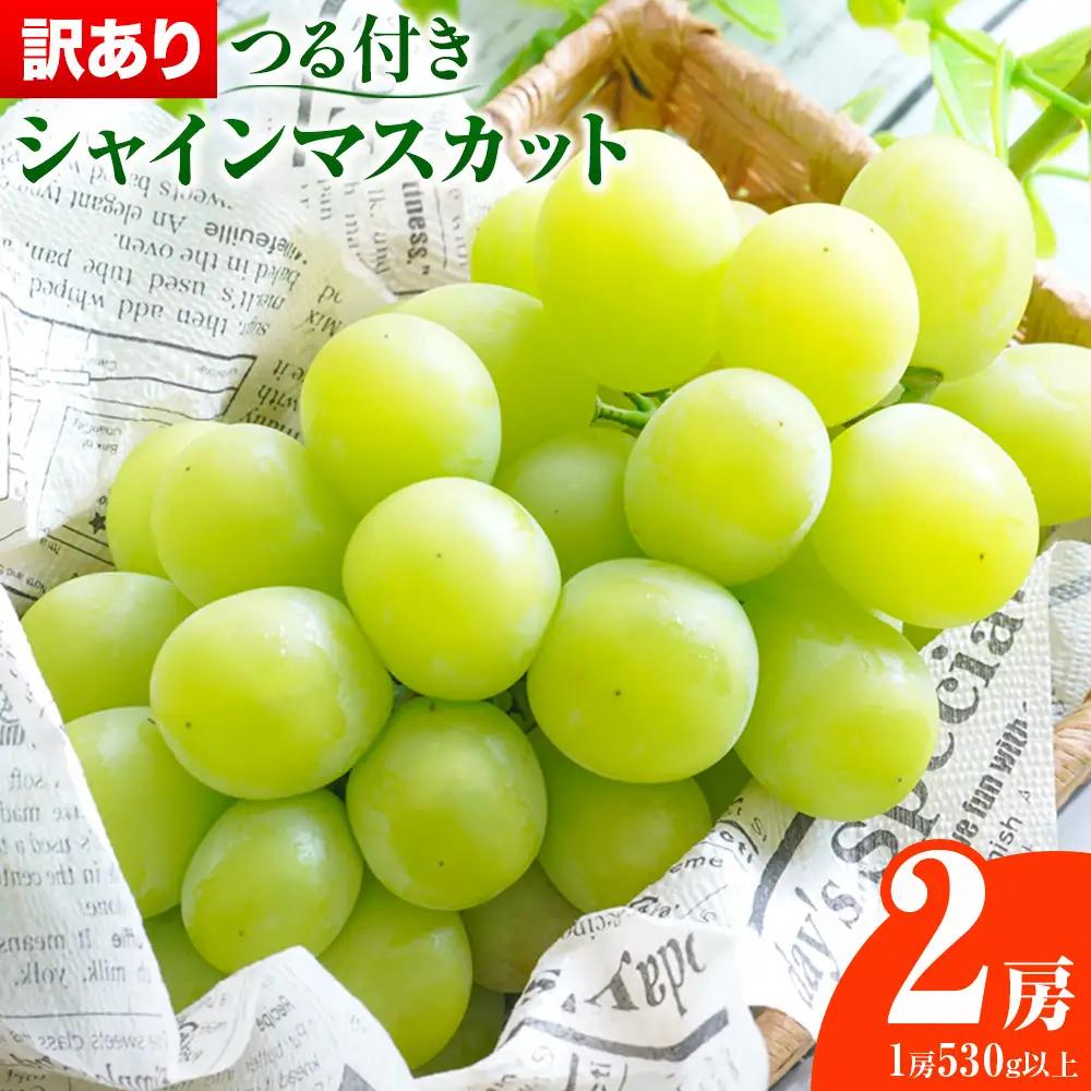 【先行予約】岡山県産 訳あり つる付き シャインマスカット 2房 (530g以上) 有限会社ホーティカルチャー神島《9月上旬-10月中旬頃出荷》岡山県 浅口市 マスカット ぶどう 葡萄 果物【配送不可地域あり】