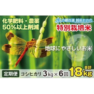 ふるさと納税 大野市 【令和8年産新米】【6ヶ月定期便】こしひかり 3kg × 6回 計18kg【白米】特別栽培米