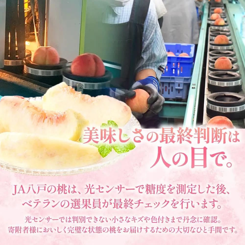 青森県産桃 約5kg 桃 もも