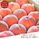 【ふるさと納税】先行予約 桃 約5kg (13～18個入) [2025年発送分] 令和7年産 新潟フルーツ 新潟県産桃 [石田フルーツガーデン] 【017P021】