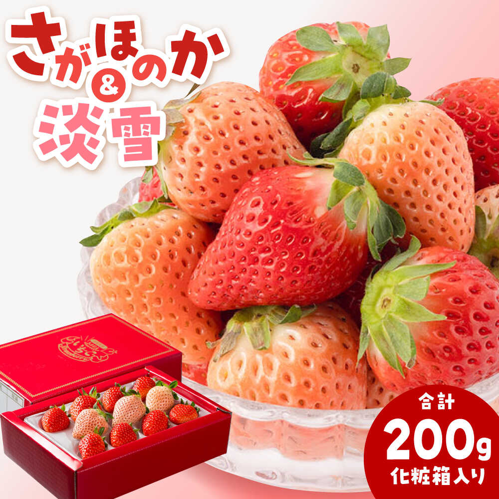 【ふるさと納税】淡雪＆さがほのか 赤白いちごセット計200g（化粧箱入り）【岸川農園】イチゴ 苺 果物 フルーツ ギフト プレゼント 佐賀県 白石町 いちご 苺 イチゴ ギフト用 化粧箱 [IAP031]