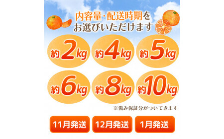 【2026年10月発送予約分】＼光センサー選別／ 【農家直送】【家庭用】こだわりの有田みかん 約2kg 先行予約 有機質肥料100% サイズ混合 【10月発送】みかん ミカン 有田みかん 温州みかん 