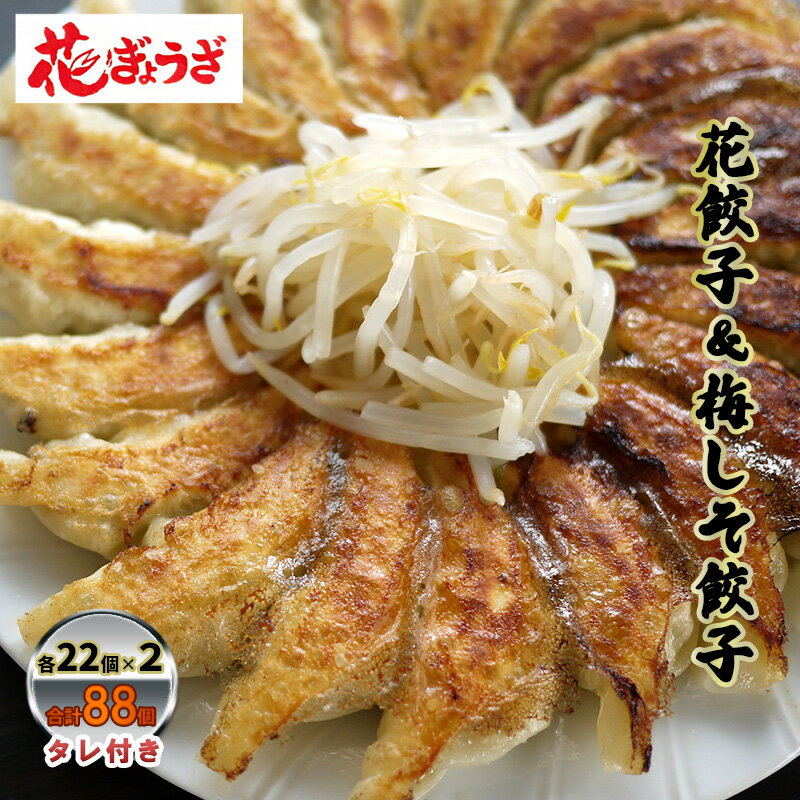 【ふるさと納税】花餃子(22個入×2袋)と梅しそ餃子(22個入×2袋)のセット 　 惣菜 冷凍餃子 中華 夕飯 夜ごはん おかず 食べ比べ おつまみ ビールのおつまみ