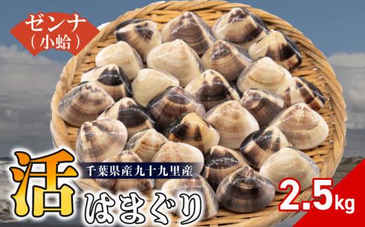九十九里産 活はまぐりゼンナ 小粒 選べる 約2.5kg 活 はまぐり 蛤 天然 砂抜き 冷蔵 九十九里産 魚介 魚貝 魚介類 海鮮 貝 貝類 出汁 だし 味噌汁 酒蒸し グラタン 九十九里浜 お祝い 祝い 贅沢 人気 おすすめ 贈答 ギフト お取り寄せ 株式会社丸六 旭市 千葉県 mrk008
