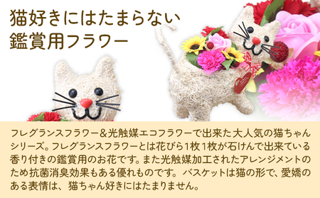 猫の散歩 光触媒エコフラワー×フレグランスフラワー 花