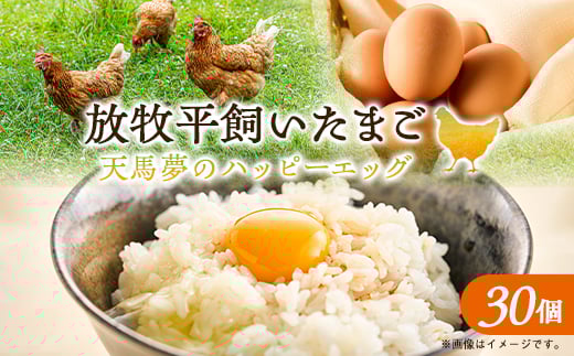 天馬夢のハッピーエッグ　30個【1595015】
