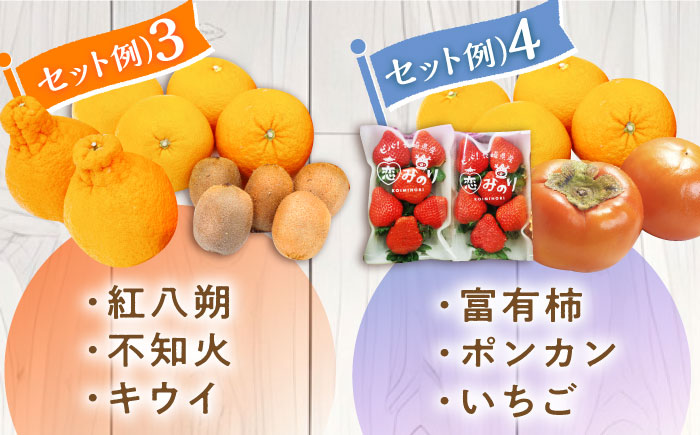 【6回定期便 隔月】フルーツ定期便 旬の果物 詰め合わせ 季節の果物をお任せで2?3品目お届け（2?3品目×6回）/ 果物 セット 甘い 南島原市 / 吉岡青果 [SCZ016]