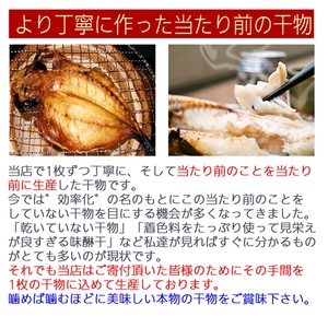 おまかせ干物セット  2倍セット【 惣菜 おかず 魚 ひもの 神奈川県 小田原市】
