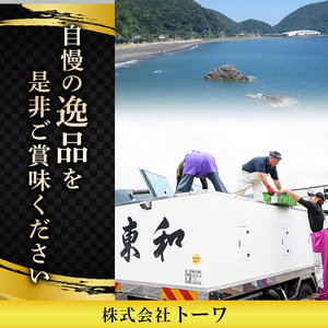 ＜瞬間凍結＞生簀直送 とらふぐ 刺身 セット (4-5人前) 魚 鮮魚 ふぐ 河豚 刺し身 刺身 さしみ ポン酢 もみじおろし 冷凍 佐伯 養殖 大分県 佐伯市 【EA30】【(株)トーワ】