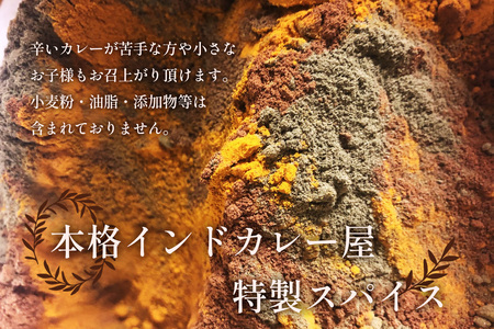 グルテンフリー・無添加　辛くないスパイスカレー粉 ／ カレー カレーパウダー カレースパイス スパイスミックス マイルド 手作り お手軽 レシピ付 美味しい おいしい 小麦粉不使用 油脂不使用 添加物