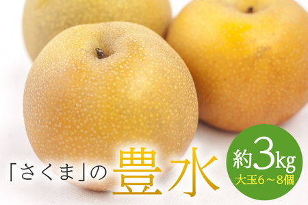 さくま梨園 豊水梨 梨 果物 フルーツ 秋 3kg ギフト 贈答用 笠間市 茨城県 EU-002