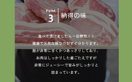 惣菜 豚まん・瀬戸田のレモン焼売・おまかせ豚肉セット 各1パック（180g～280g） 惣菜 詰め合わせ 豚まん シュウマイ 産地直送 肉 お肉 にく 食品 ギフト セット 広島県福山市/株式会社横島
