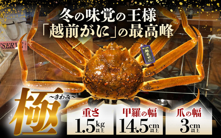 【11月発送】【先行予約】特大 越前がに《極》（1.5kg以上）名人が茹でる やまに仕込み [W-4301]