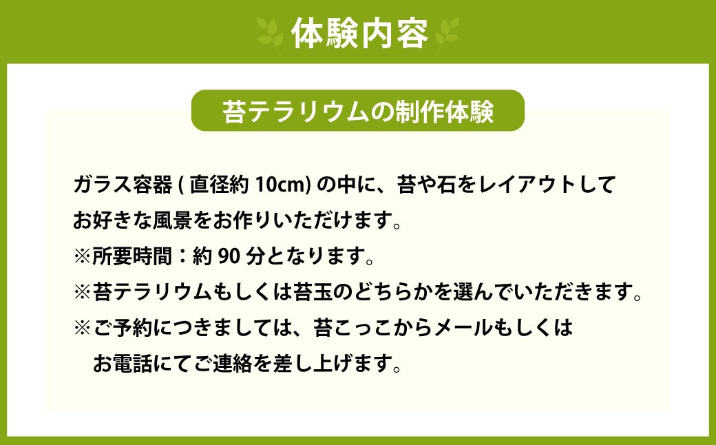 苔テラリウムの制作体験チケット ペアチケット
