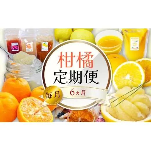 定期便 6回 6ヶ月 果物 定期便