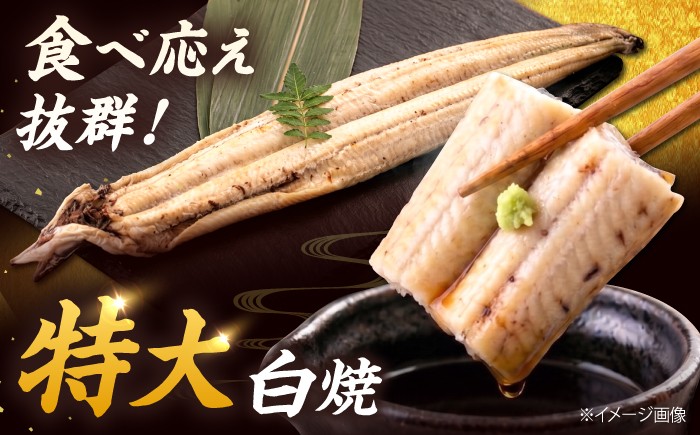 特大！ 鹿児島産 うなぎ 白焼 2尾セット　国産 鰻 ウナギ