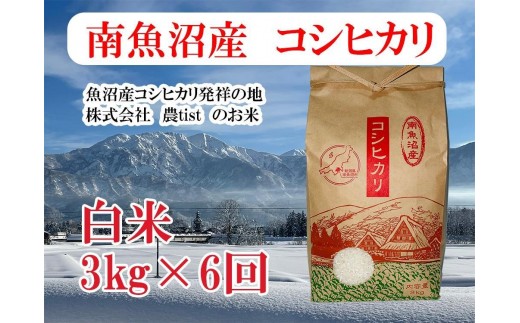 
                  【令和7年産】【定期便 南魚沼産】コシヒカリ 白米3kg×6回【定期便 銘柄米 ブランド米 精米 こしひかり コシヒカリ 魚沼産 新潟米 産地直送 お米 米 こめ コメ ご飯 御飯 ごはん】
                
