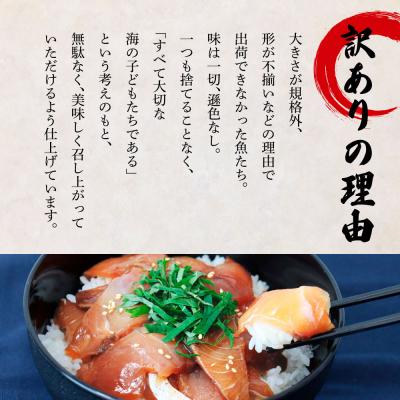 ふるさと納税 田野町 これが魚屋の漬け丼だ! 〜ハマチ〜 80g×5P ★訳あり★ |  | 02