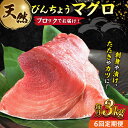 【ふるさと納税】【全6回定期便】天然 まぐろ 冷凍ぶっこみブロック約3kg 鮪 マグロ 刺身 冷凍 横須賀【本まぐろ直売所】[AKAK027]