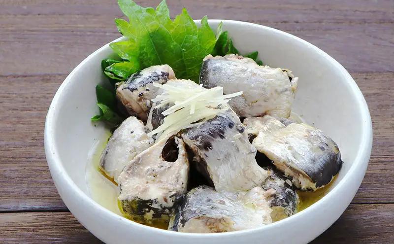 銚子産　とろイワシ水煮　8缶　缶詰 イワシ いわし 水煮 常温保存 防災 備蓄 非常食 保存食 国産 キャンプ 千葉県 千葉市