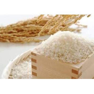 ふるさと納税 三豊市 ふるさと納税　白米【新米コシヒカリ10.0kg】三豊市産