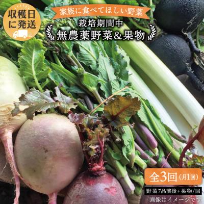 ふるさと納税 糸島市 【 全3回定期便】こだわり野菜  ( 7品 前後 ) セット + 果物[AGE007]