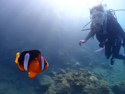 【初心者・ブランクダイバー大歓迎】 2ボートダイビング（1名） スキューバダイビング チケット ダイビング　串本ダイビングセンター 【kdc001】