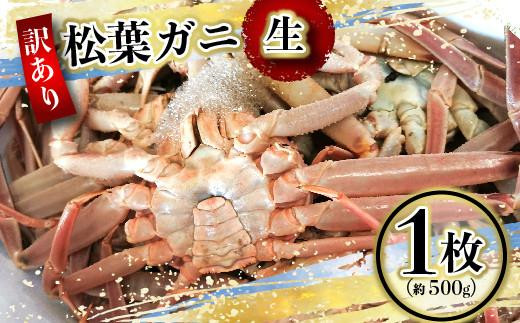 
                  （訳あり）松葉ガニ（生なま） 1枚（約500g）【年内配送】※着日指定不可※北海道、沖縄、一部離島への配送不可【松葉がに 松葉蟹 ズワイガニ 蟹 カニ かに 国産 人気 おすすめ 鳥取県 琴浦町 送料無料】
                