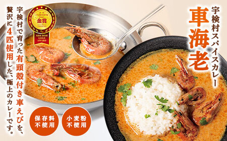 宇検村 スパイスカレー 車海老&パパイヤ 各10食 (20食セット) 本格 レトルト カレー えび エビ パパイヤ 宇検村 鹿児島