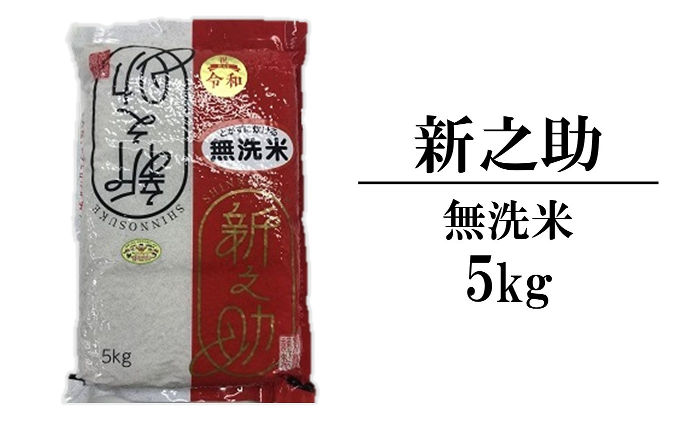 
            【令和6年産新米】新之助 無洗米 5kg 中村農研 しんのすけ[Y0296]
          